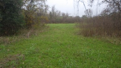 521 Fm 521, Brazoria, TX 77422 - photo 5