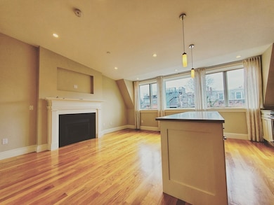 142 W Concord St unit PH, Boston, MA 02118 - photo 5