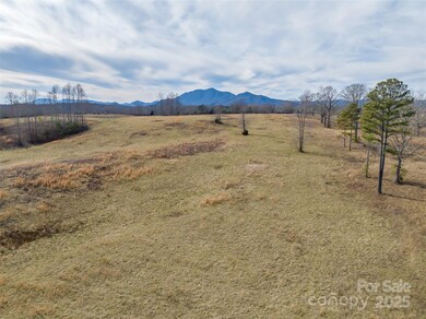 Lot 8-1 Whiteside Rd, Mill Spring, NC 28756 - photo 7