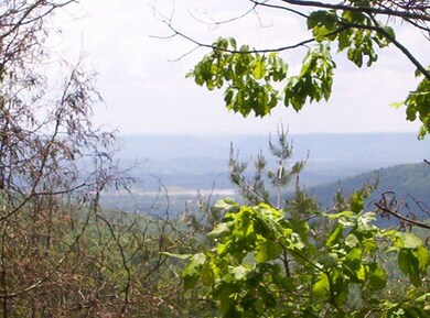 View #1