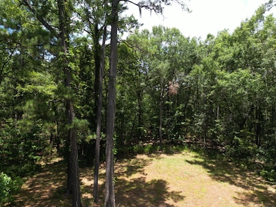 5810 Dixie Plantation Rd, Hollywood, SC 29449 - photo 3