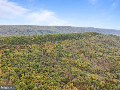 2083 Clay Pits Ln, Great Cacapon, WV 25422 - photo 5