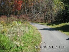 168 Moores Valley Rd, Leicester, NC 28748 - photo 3