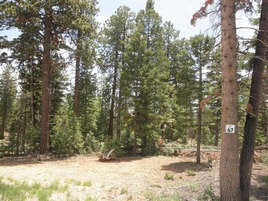 Lot Picture 1