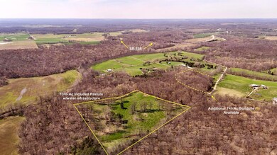 off W Side Buffalo Trace Rd, Jackson Township, IN 47165 - photo 4