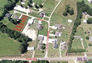 C6 Legacy Ln, Denham Springs, LA 70706 - photo 2