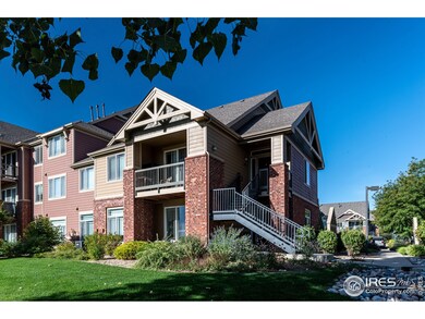 804 Summer Hawk Dr unit 5104, Longmont, CO 80504 - photo 5
