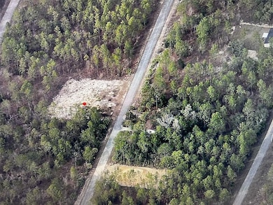 0 Narcissus Rd, Dunnellon, FL 34431 - photo 2