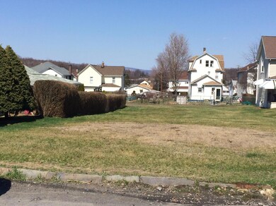 102 Smith St, Dupont, PA 18641 - photo 5