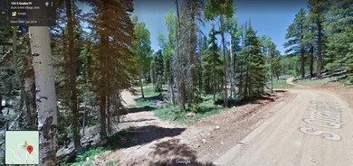 955 W Bear Track unit (Lot 66), Duck Creek Village, UT 84762 - photo 4