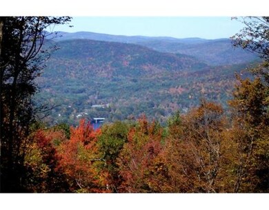 0 Flagg Mountain Dr unit 71254941, Conway, MA 01341 - photo 4