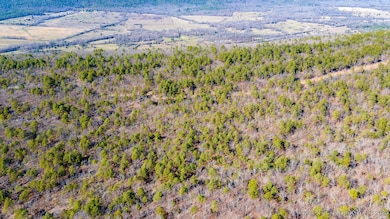 29000 State Highway 43, Clayton, OK 74536 - photo 4