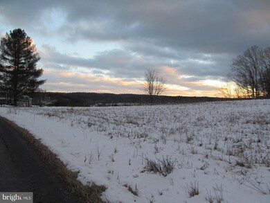 0 Dellinger Gap Rd unit VASH107484, Edinburg, VA 22824 - photo 4