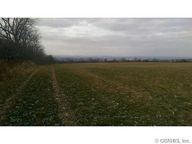 Land/Lot. Lane-way on Logan Road.