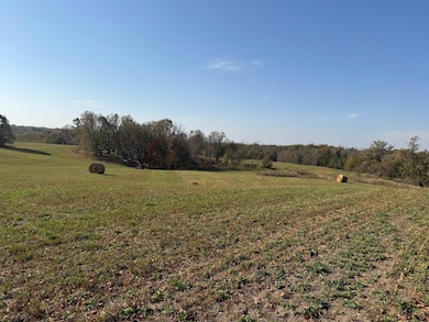 TBD 139 56ac 360th Ave, Frazee, MN 56544 - photo 7