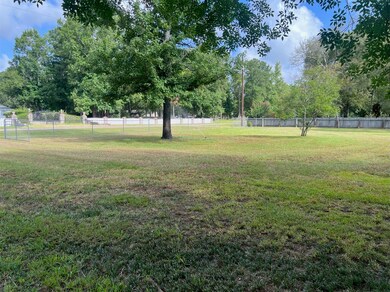 24225 Cherry Hill Dr, Hockley, TX 77447 - photo 3