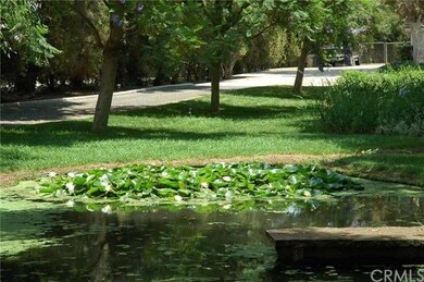 Pond