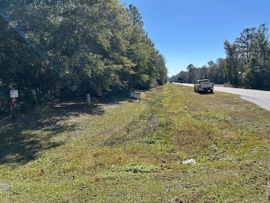 1700 Camden Ave, Woodbine, GA 31569 - photo 2