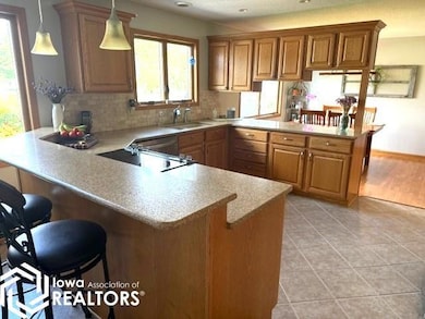 1003 2nd Ave NE, Clarion, IA 50525 - photo 3