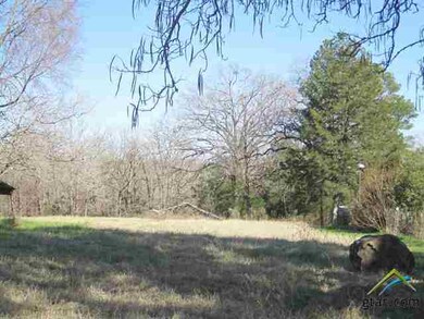 14559 Fm 848, Tyler, TX 75707 - photo 5