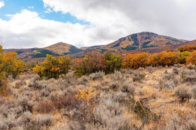 Lot-View_1800x1200_3146047