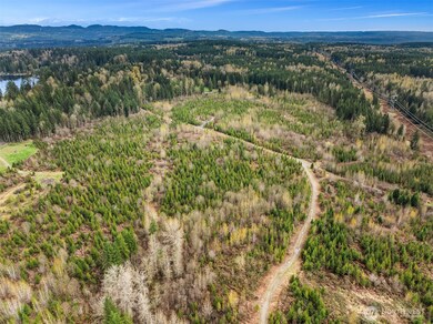 11 xx 344th Ave NE, Carnation, WA 98014 - photo 6