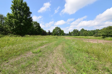 View - Facing North