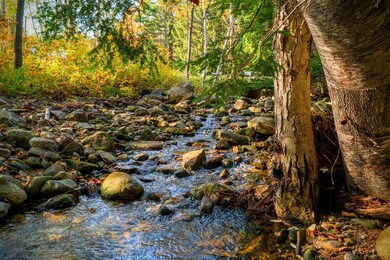 306 North Rd, Shelburne, NH 03581 - photo 5