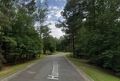 Lot 3 Hummingbird Ln, Moultrie, GA 31768 - photo 7