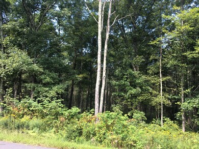 Lot 130 Springwood Dr, Hawley, PA 18428 - photo 5