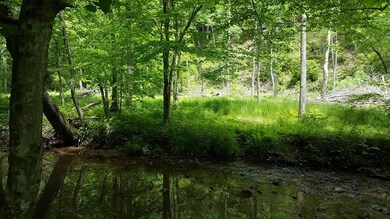 Reed Creek