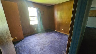 Spare room featuring wood walls, carpet flooring, 