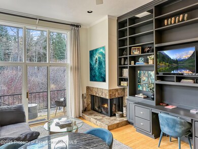 1050 Waters Ave unit 9, Aspen, CO 81611 - photo 2