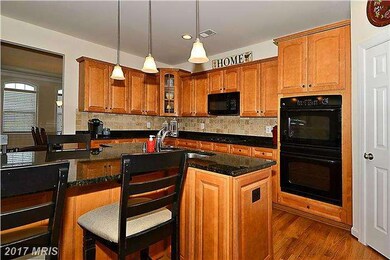 25229 Barley Grass Square, Aldie, VA 20105 - photo 5