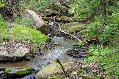 0 S Winfrey Valley Rd unit 1273960, Winslow, AR 72959 - photo 7