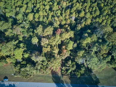 2000 Caracara, New Bern, NC 28560 - photo 6