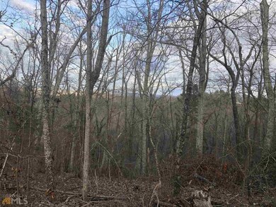 0 Hidden Ridge Dr unit 10343689, Rome, GA 30165 - photo 6