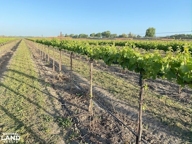 52415-52979 S River Rd, Clarksburg, CA 95612 - photo 2