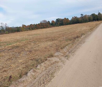 lot 1 Davis Ln, Mullins, SC 29574 - photo 4
