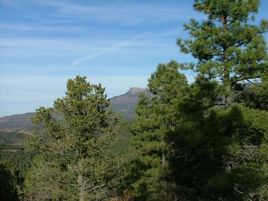 0 Fox Trail unit 20-978, Trinidad, CO 81082 - photo 7
