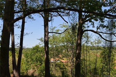 999 Retta Ln, Leicester, NC 28748 - photo 7