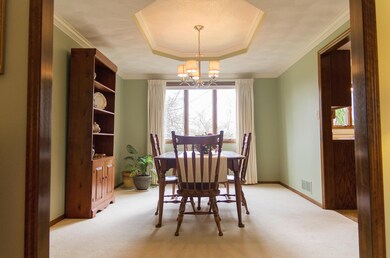 Kinglet_Ct_0040