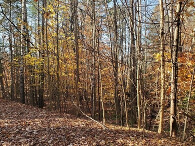 00 Keyser Rd, Center Harbor, NH 03226 - photo 6