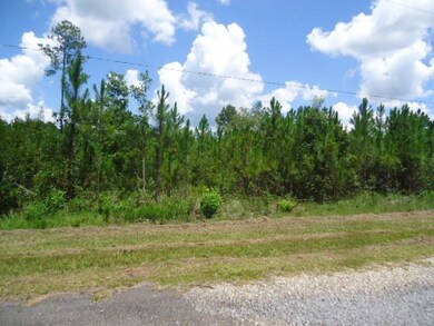 27086 Quail Ln, Perkinston, MS 39573 - photo 6