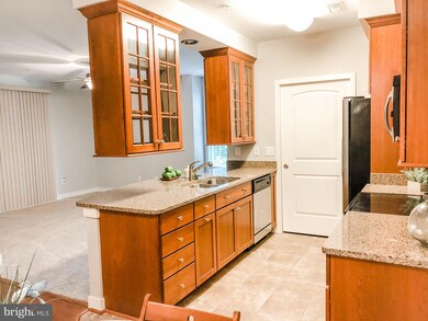 41820 Eastwick Ln unit 3203, Leonardtown, MD 20650 - photo 3