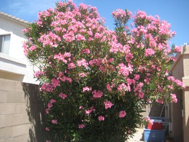 Mature Landscape