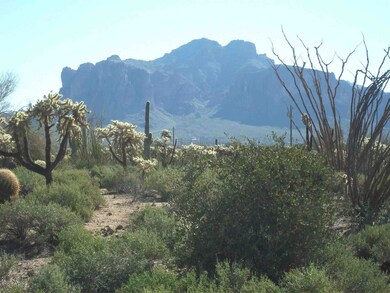 Superstition Mountain Views