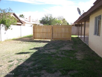 back yard