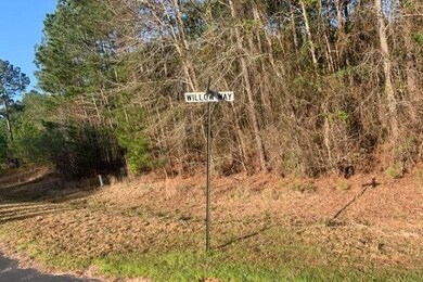 Lot 49 Eagle Point, Lincolnton, GA 30817 - photo 4