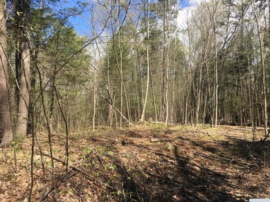 0 Grouse Run, Red Hook, NY 12571 - photo 3